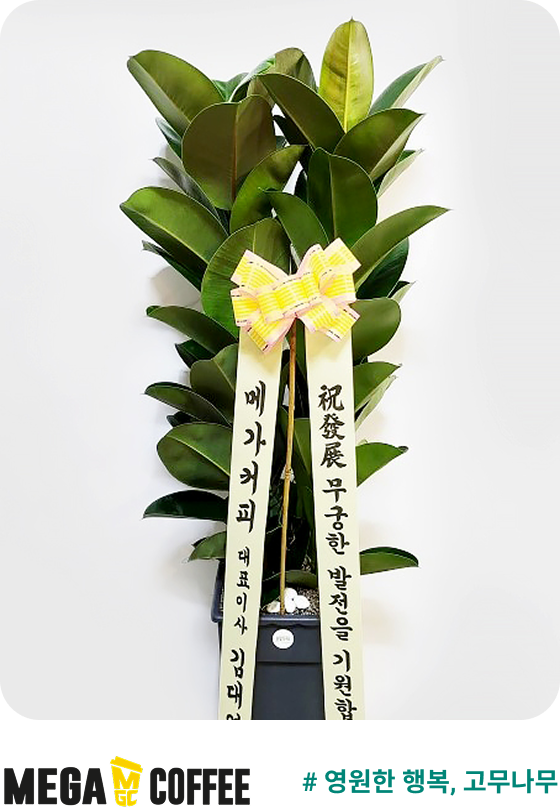 메가커피