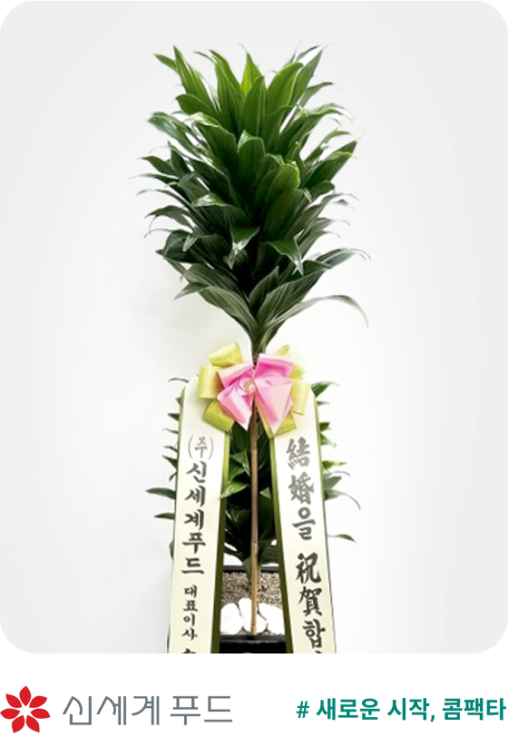 신세계푸드