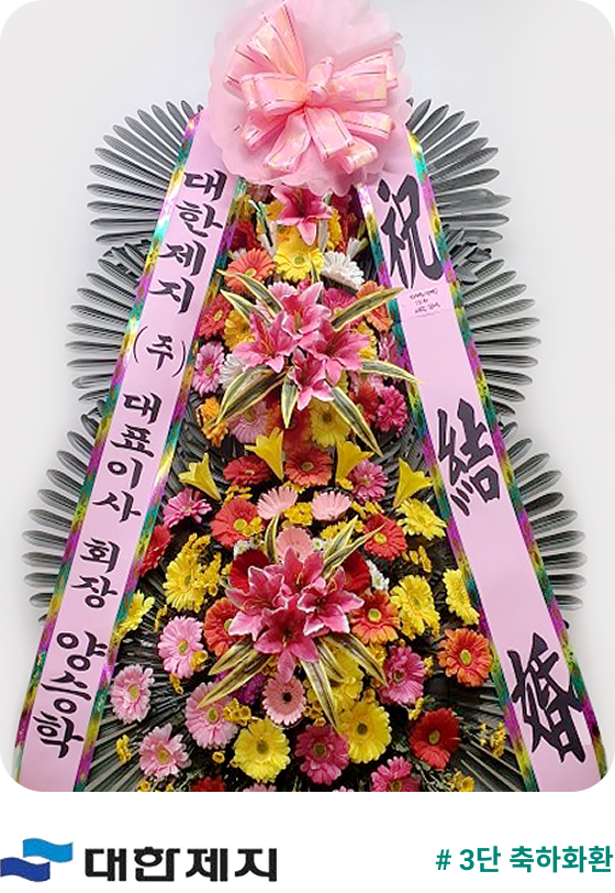 대한제지