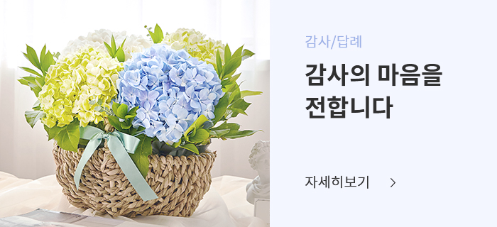 감사/답례 - 수국 꽃바구니